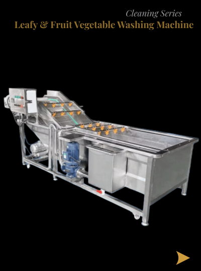 Leafy & Fruit Vegetable Washing Machine