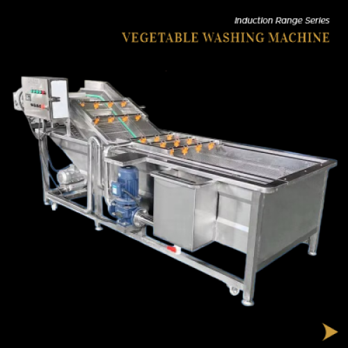 Vegetable Washing Machine